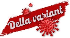 variante delta