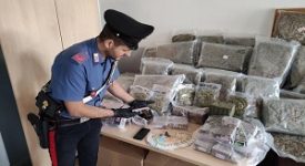Preso in tangenziale con 80 chili di droga