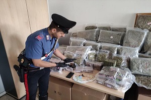 Preso in tangenziale con 80 chili di droga