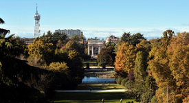 Milano premiata come città degli alberi 2021 Un sito web raccoglie le iniziative culturali estive al Parco Sempione
