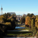 Milano premiata come città degli alberi 2021 Un sito web raccoglie le iniziative culturali estive al Parco Sempione