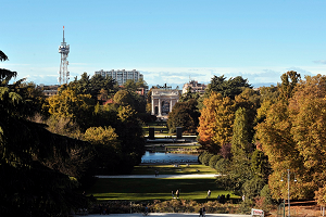 Milano premiata come città degli alberi 2021 Un sito web raccoglie le iniziative culturali estive al Parco Sempione