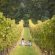 Dolce Autunno fra i vigneti della provincia di Brescia alla scoperta di Franciacorta, Garda, Colli dei Longobardi e Valle