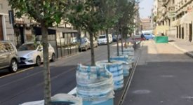 Piazzale Bacone, De Corato: "Ennesima trovata di Sala: alberelli destinati a seccarsi"