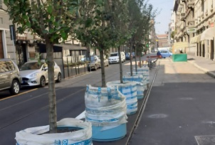 Piazzale Bacone, De Corato: "Ennesima trovata di Sala: alberelli destinati a seccarsi"