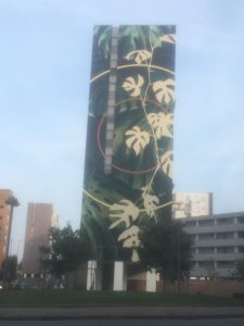 Via Consolini