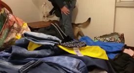 Sparatoria di agosto: tre arresti per tentato omicidio