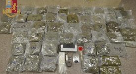 Sequestrati 60 kg di droga e arrestati quattro spacciatori