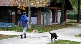 Iniziano i corsi per ottenere il patentino da possessore di cani speciali