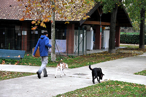 Iniziano i corsi per ottenere il patentino da possessore di cani speciali