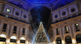 Torna il Natale degli alberi