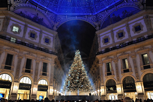 Torna il Natale degli alberi