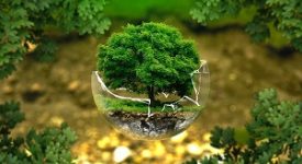 Ambiente, nascono due nuovi consorzi per rifiuti tessili e materassi: Ecoremat ed Ecotessili