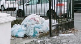 Salinari (FI): "Inizia male il nuovo anno nelle scuole del nostro Municipio 7"