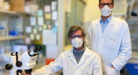 Scoperti accumuli proteici nel sistema nervoso periferico di pazienti affetti da SLA
