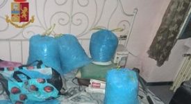 Scoperto laboratorio di droga: un arresto e una denuncia