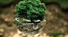 Nasce NETLAB, la piattaforma per sviluppare buone pratiche di sostenibilità ambientale