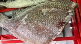 Polizia locale sequestra 120 kg di carne e pesce