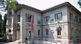 Gli alberi monumentali della città
