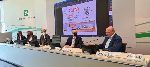 Dal seme al pane: la blockchain garanzia di qualità