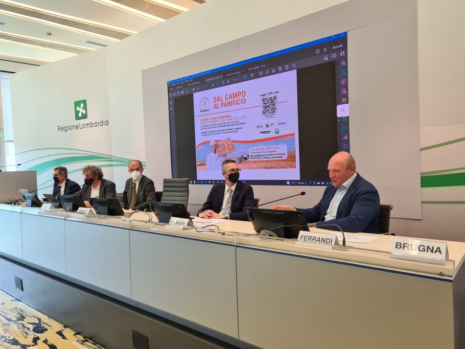 Dal seme al pane: la blockchain garanzia di qualità