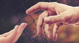 Profiughi ucraini: 13 accordi con i Comuni milanesi e 774 accolti