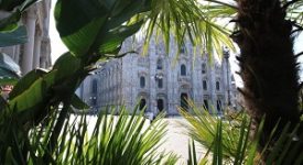 Piazza Duomo: addio alle palme