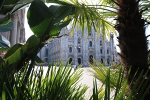 Piazza Duomo: addio alle palme