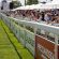 Equitazione: successo per la Milano Jumping Cup