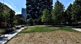 Verde. De Chirico (FI): chi pagherà per i danni ambientali?