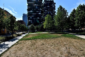 Verde. De Chirico (FI): chi pagherà per i danni ambientali?
