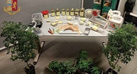 Coltiva marijuana in camera da letto: arrestato