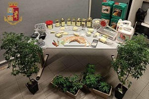 Coltiva marijuana in camera da letto: arrestato