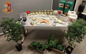 Coltiva marijuana in camera da letto: arrestato 