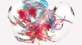 PRINTMED-3D. Un innovativo progetto di ricerca scientifica e tecnologica multidisciplinare al Centro Internazionale di Brera venerdì 31 marzo