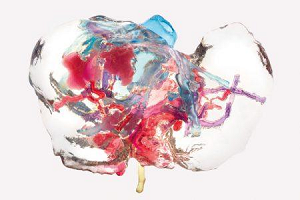 PRINTMED-3D. Un innovativo progetto di ricerca scientifica e tecnologica multidisciplinare al Centro Internazionale di Brera venerdì 31 marzo