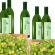 rampelli vinitaly