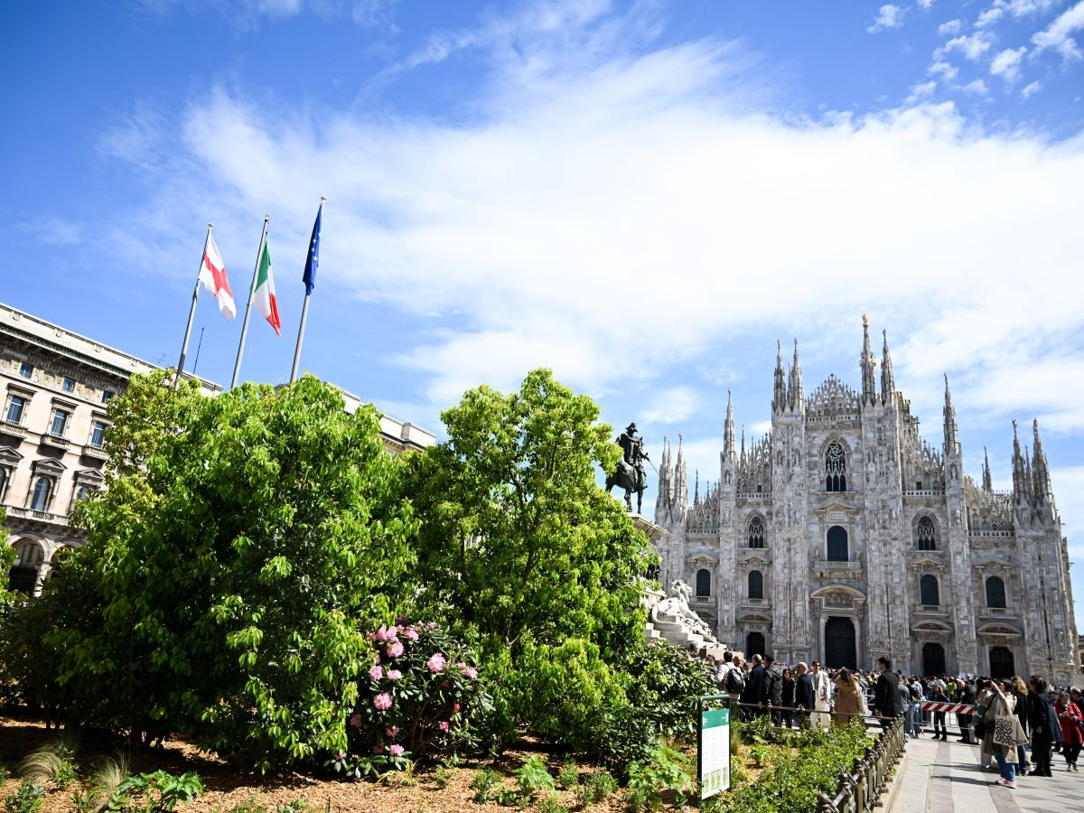 Terminata la piantumazione delle nuove aiuole di piazza Duomo